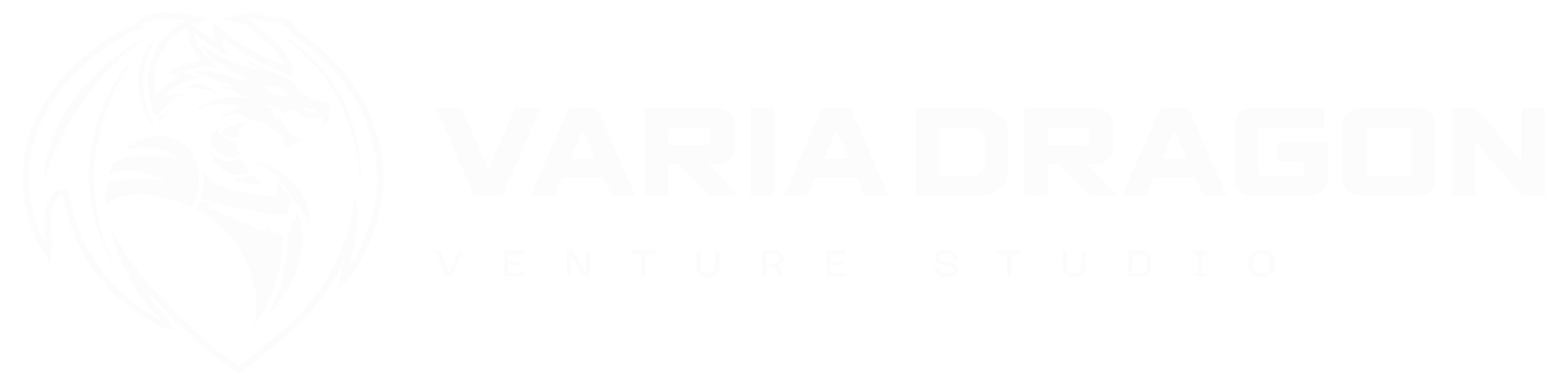Varia Dragon Venture Studio